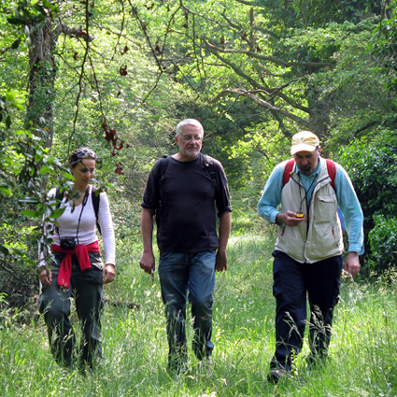 Escursione NM nella divina foresta spessa e viva
