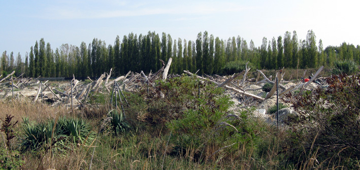 Uscita in laguna nel parco delta Po a Ravenna