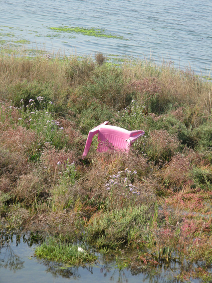 Uscita in laguna nel parco delta Po a Ravenna