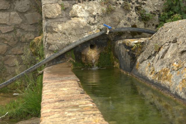 Fontanili del Lazio