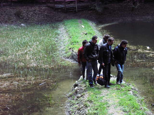 anfibi favolosi nel casentino
