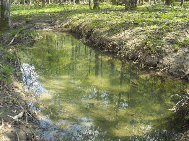 Foreste Casentinesi: La Lama e dintorni