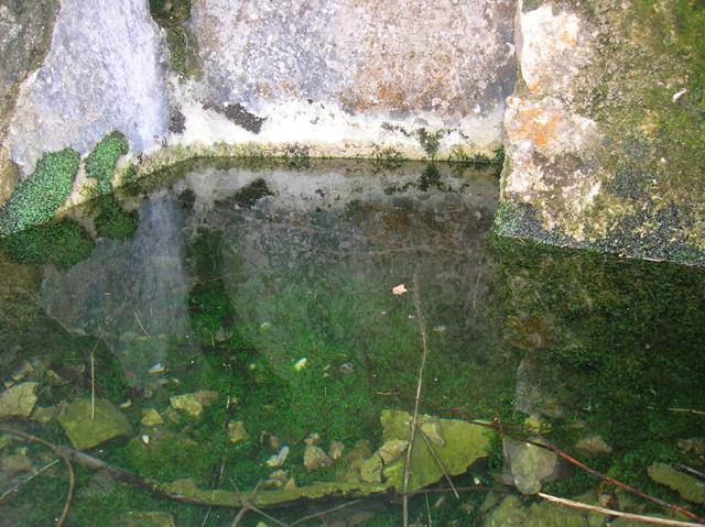 il 