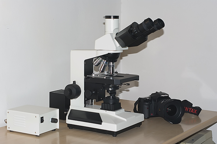 Microscopio Biologico L2050HTG Plan