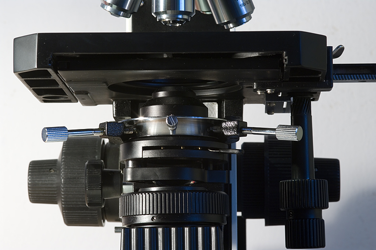 Microscopio Biologico L2050HTG Plan