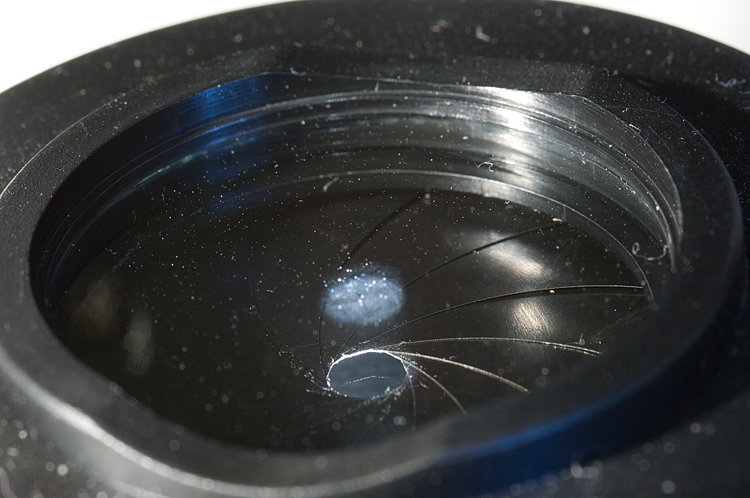 Microscopio Biologico L2050HTG Plan