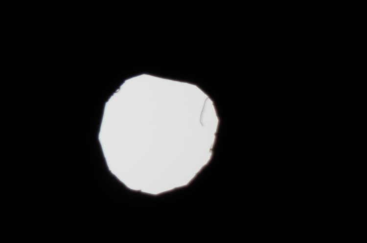 Microscopio Biologico L2050HTG Plan