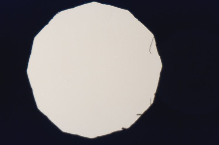 Microscopio Biologico L2050HTG Plan
