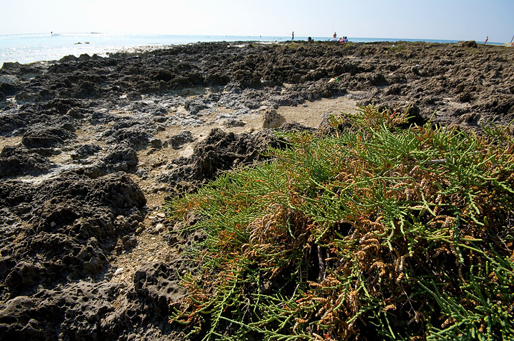 Le Spiagge Bianche a Rosignano Solvay