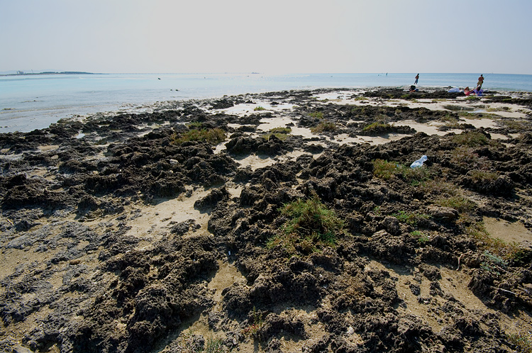 Le Spiagge Bianche a Rosignano Solvay