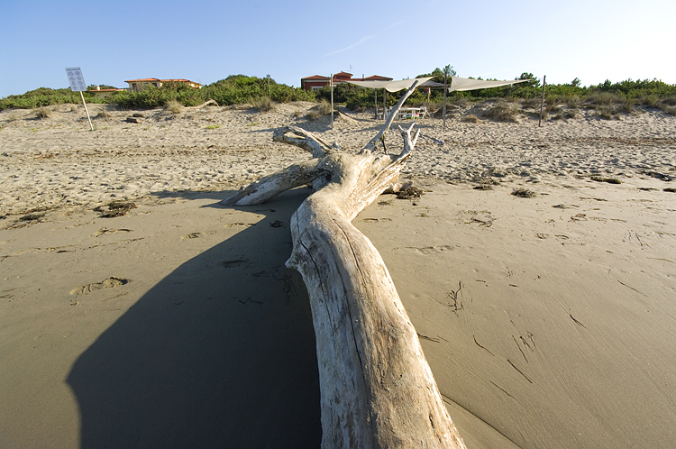 Il litorale alla Fiumara di Marina di Grosseto