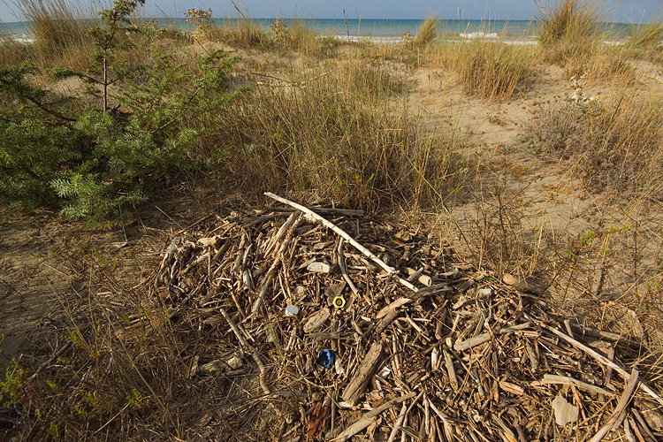 Il litorale alla Fiumara di Marina di Grosseto