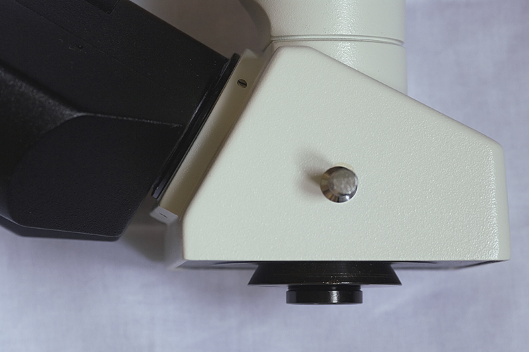 Microscopio Biologico L2050HTG Plan