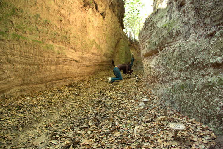 Sorano e la Via Cava di San Rocco