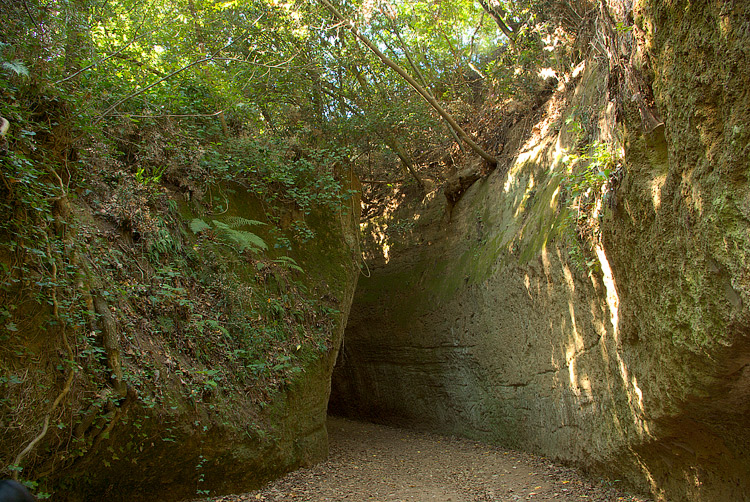 Sovana :  la Necropoli e le Vie Cave