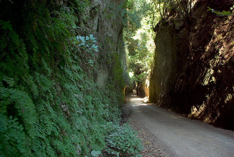 Sovana :  la Necropoli e le Vie Cave