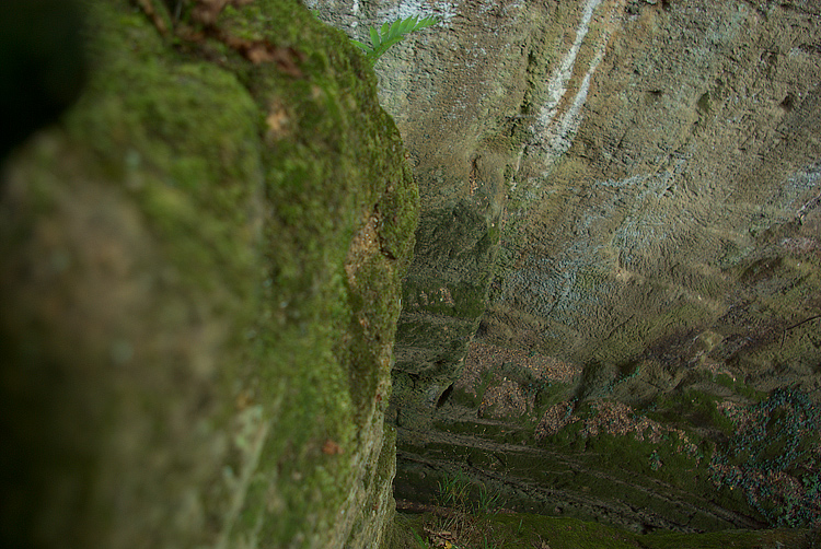 Sovana :  la Necropoli e le Vie Cave