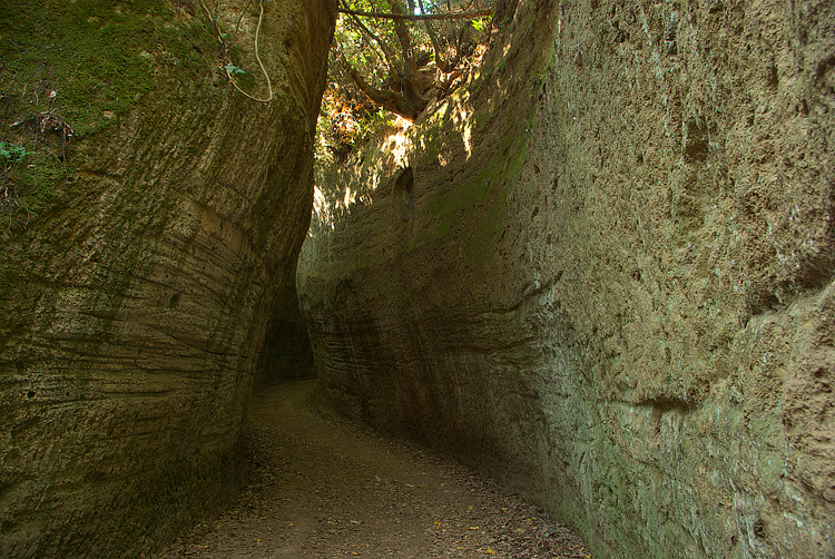 Sovana :  la Necropoli e le Vie Cave