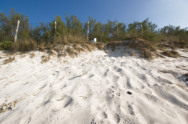 Le Spiagge Bianche a Rosignano Solvay