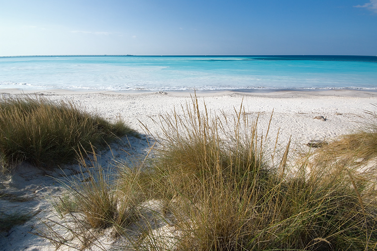 Le Spiagge Bianche a Rosignano Solvay