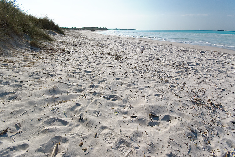 Le Spiagge Bianche a Rosignano Solvay