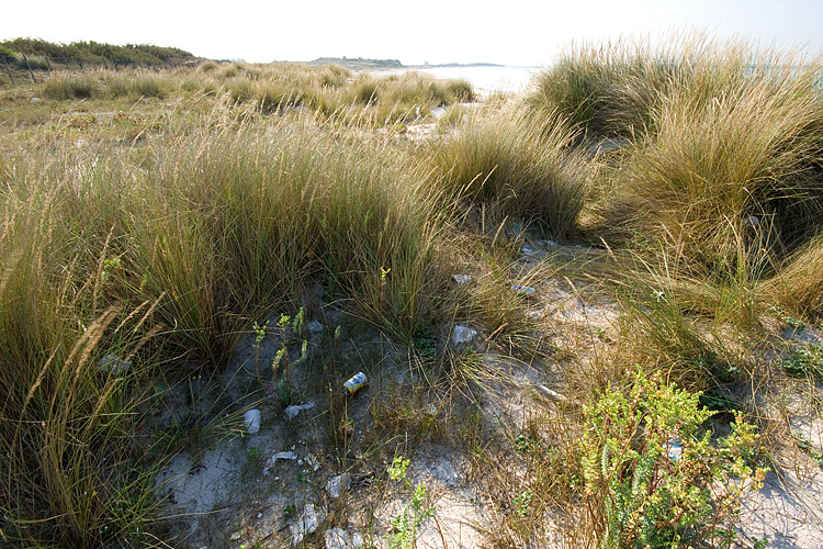 Le Spiagge Bianche a Rosignano Solvay