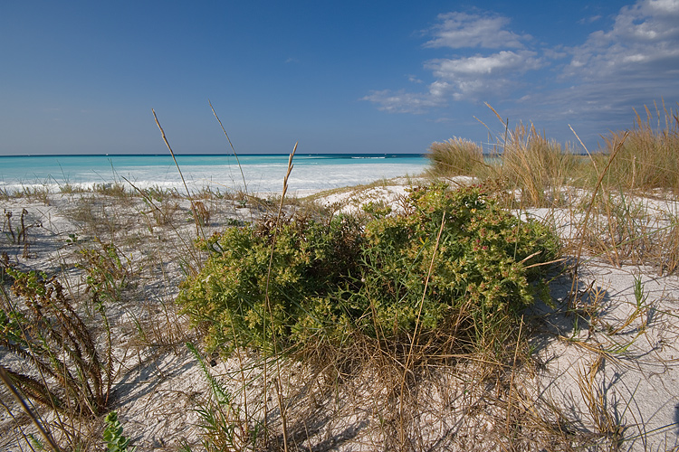 Le Spiagge Bianche a Rosignano Solvay