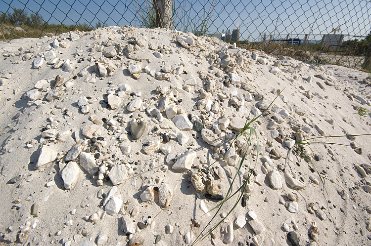 Le Spiagge Bianche a Rosignano Solvay