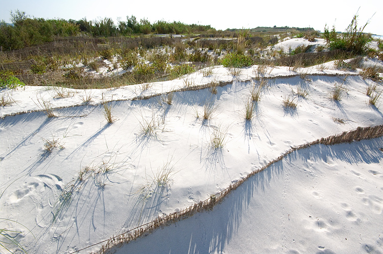 Le Spiagge Bianche a Rosignano Solvay