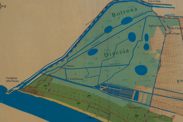 La Diaccia Botrona - Padule di Castiglione della Pescaia