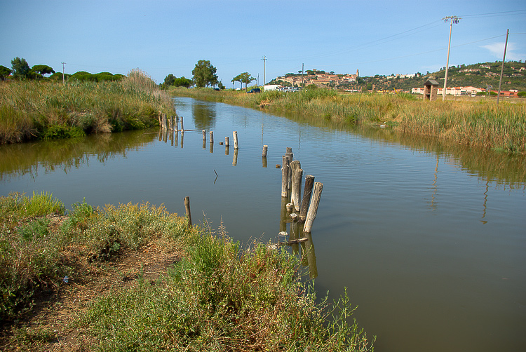 La Diaccia Botrona - Padule di Castiglione della Pescaia