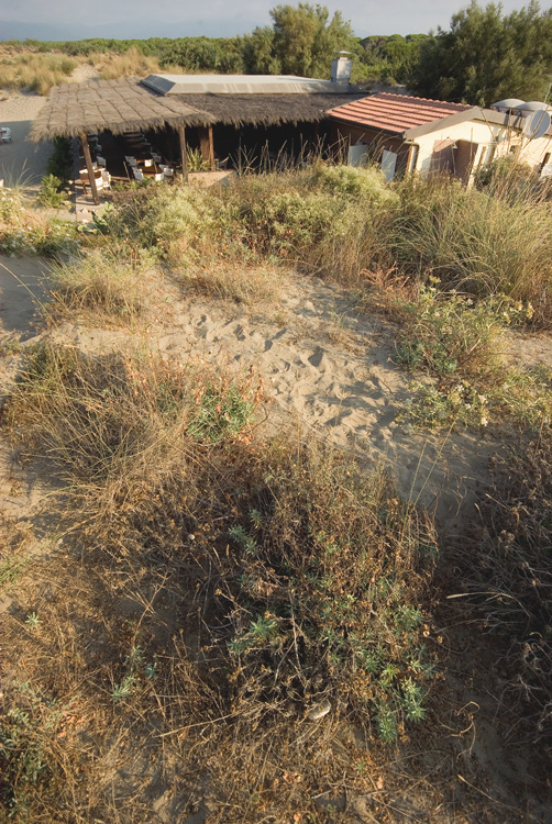 Il litorale alla Fiumara di Marina di Grosseto