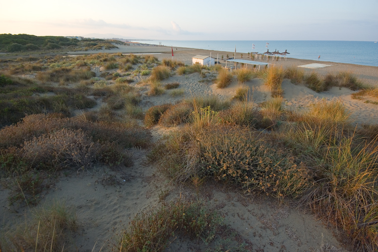 Il litorale alla Fiumara di Marina di Grosseto