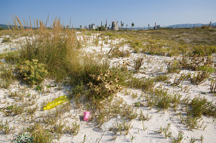 Le Spiagge Bianche a Rosignano Solvay