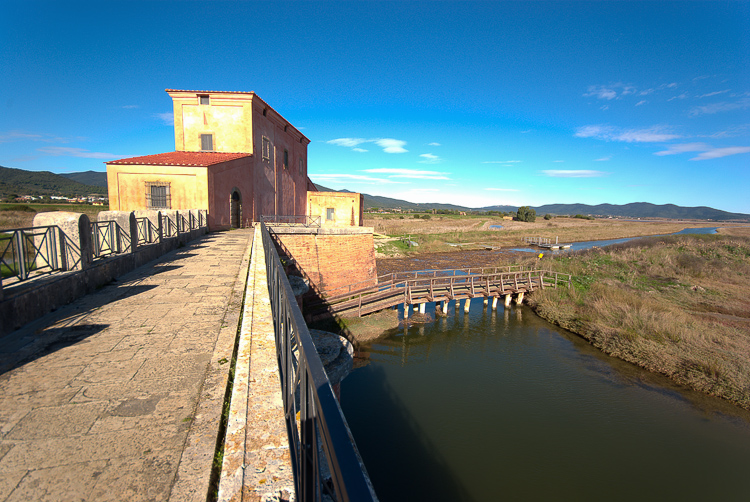 La Diaccia Botrona - Padule di Castiglione della Pescaia