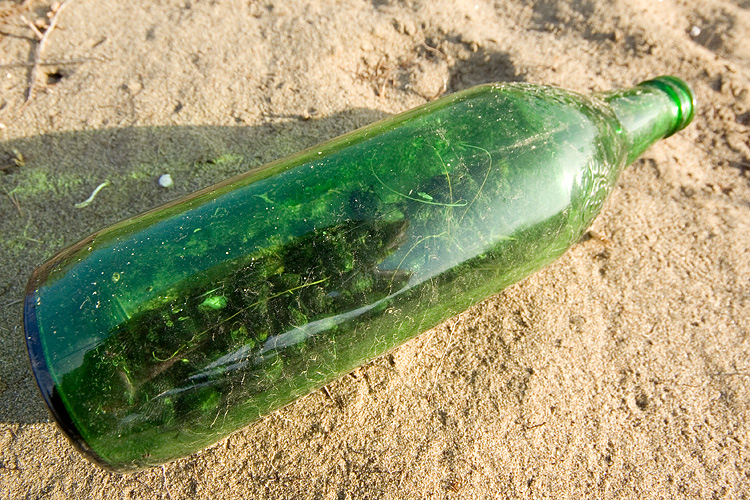 Bottled beetles