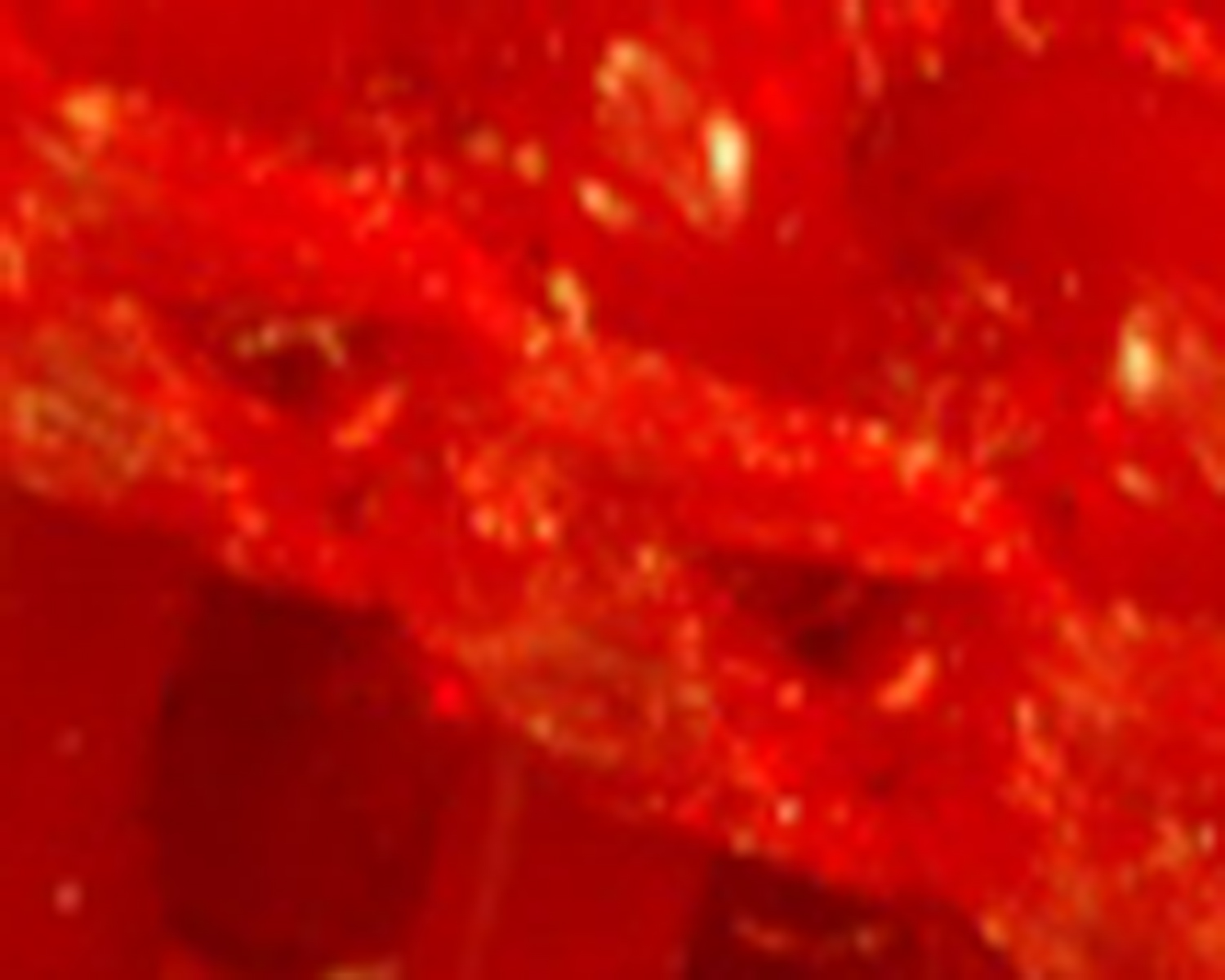 Sony Alpha 350 vs Pentax K10D : un''anticipazione