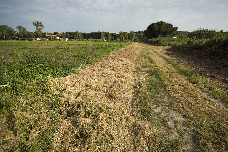 Raduno delle Bugatti in Maremma