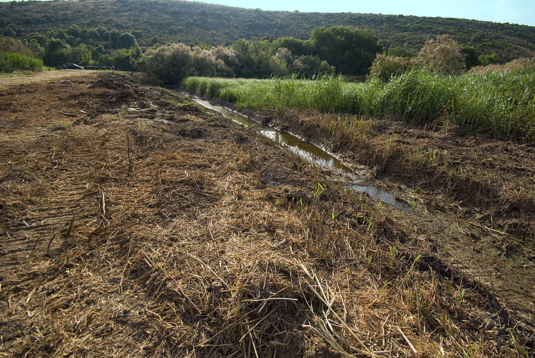 Raduno delle Bugatti in Maremma