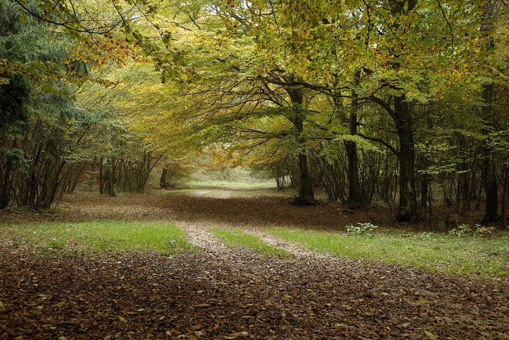 I colori dell''autunno...