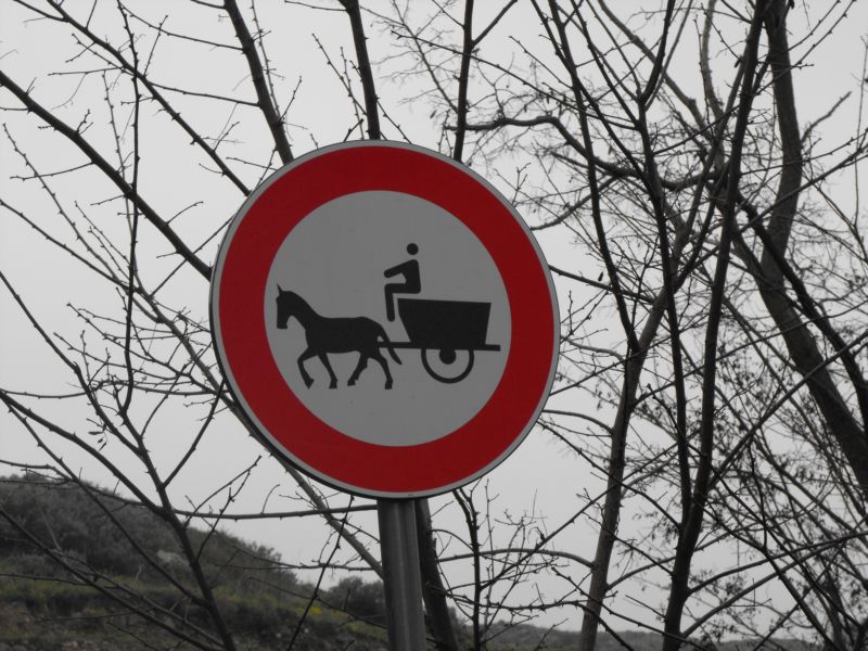 Divieti Siciliani!!!!!!