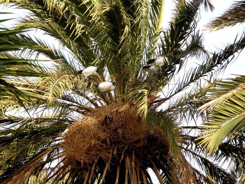 Chiassoso condominio alle Canarie