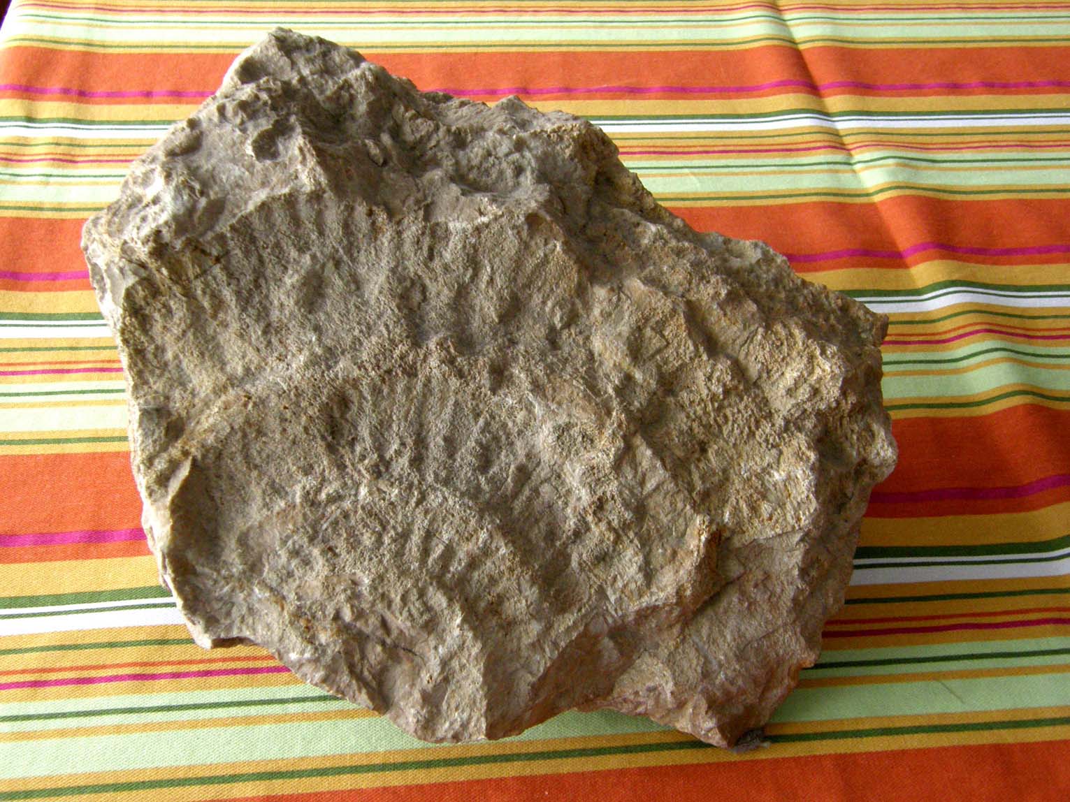 Fossili...abbandonati a Milano