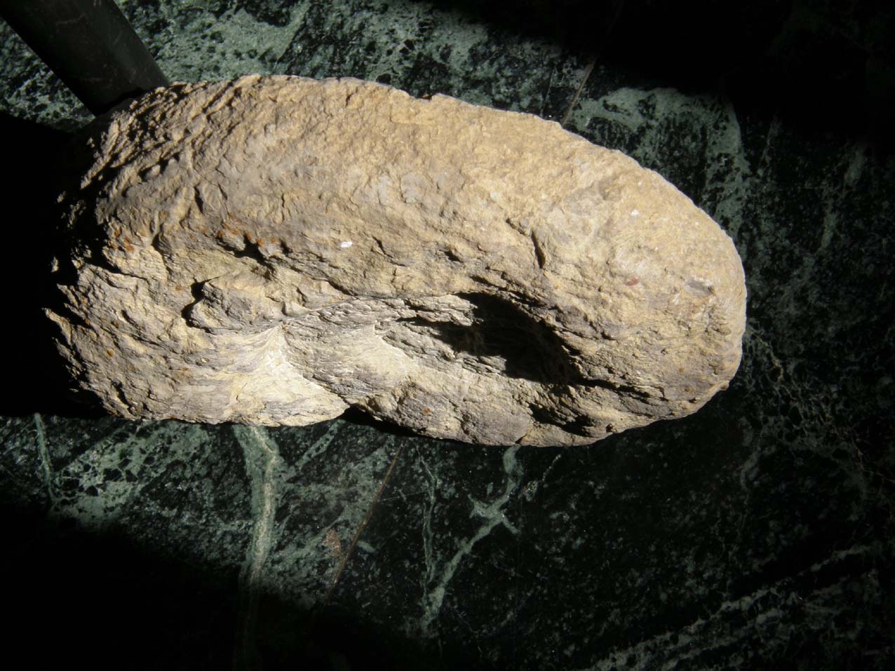 Fossili...abbandonati a Milano