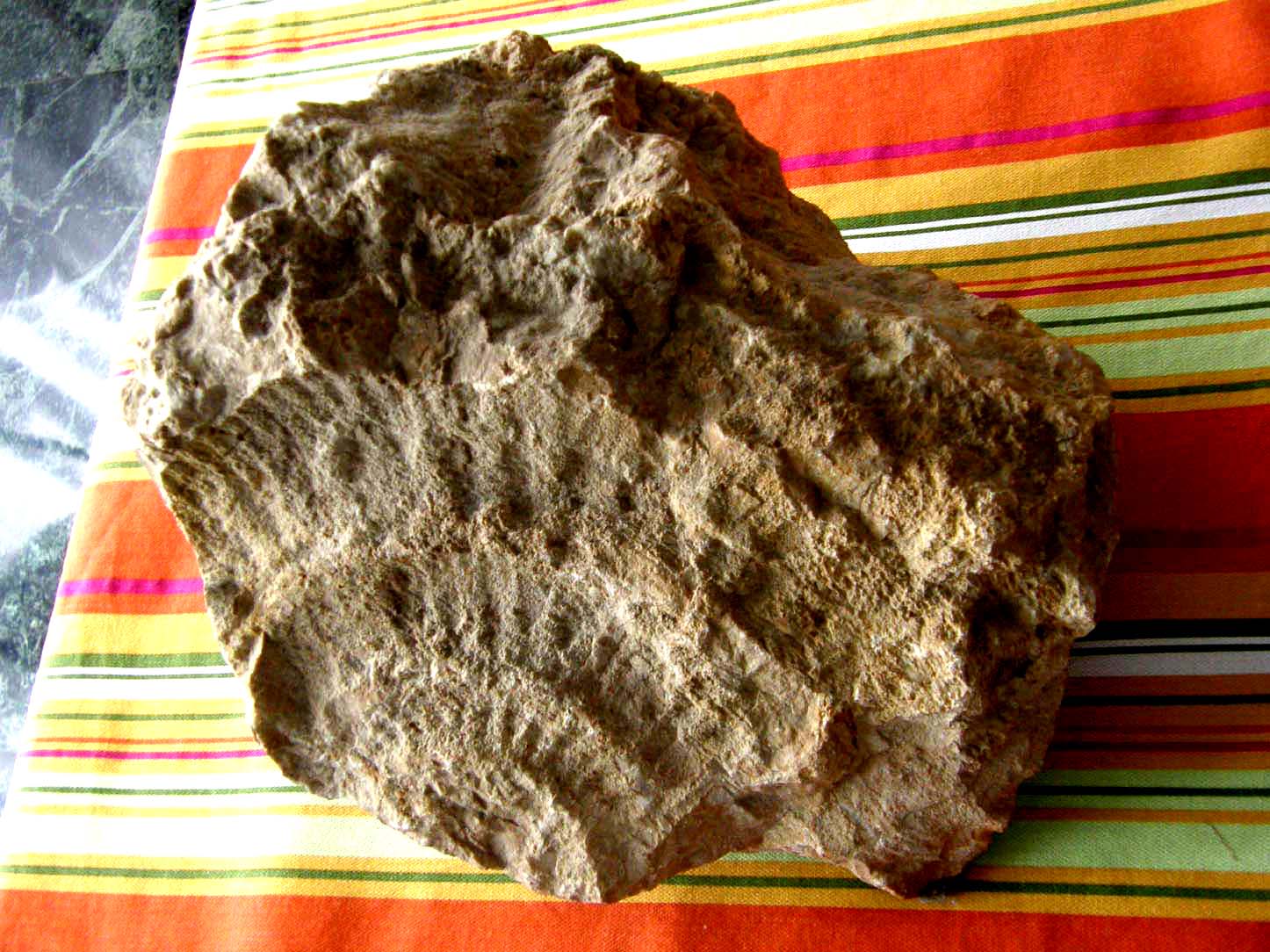 Fossili...abbandonati a Milano