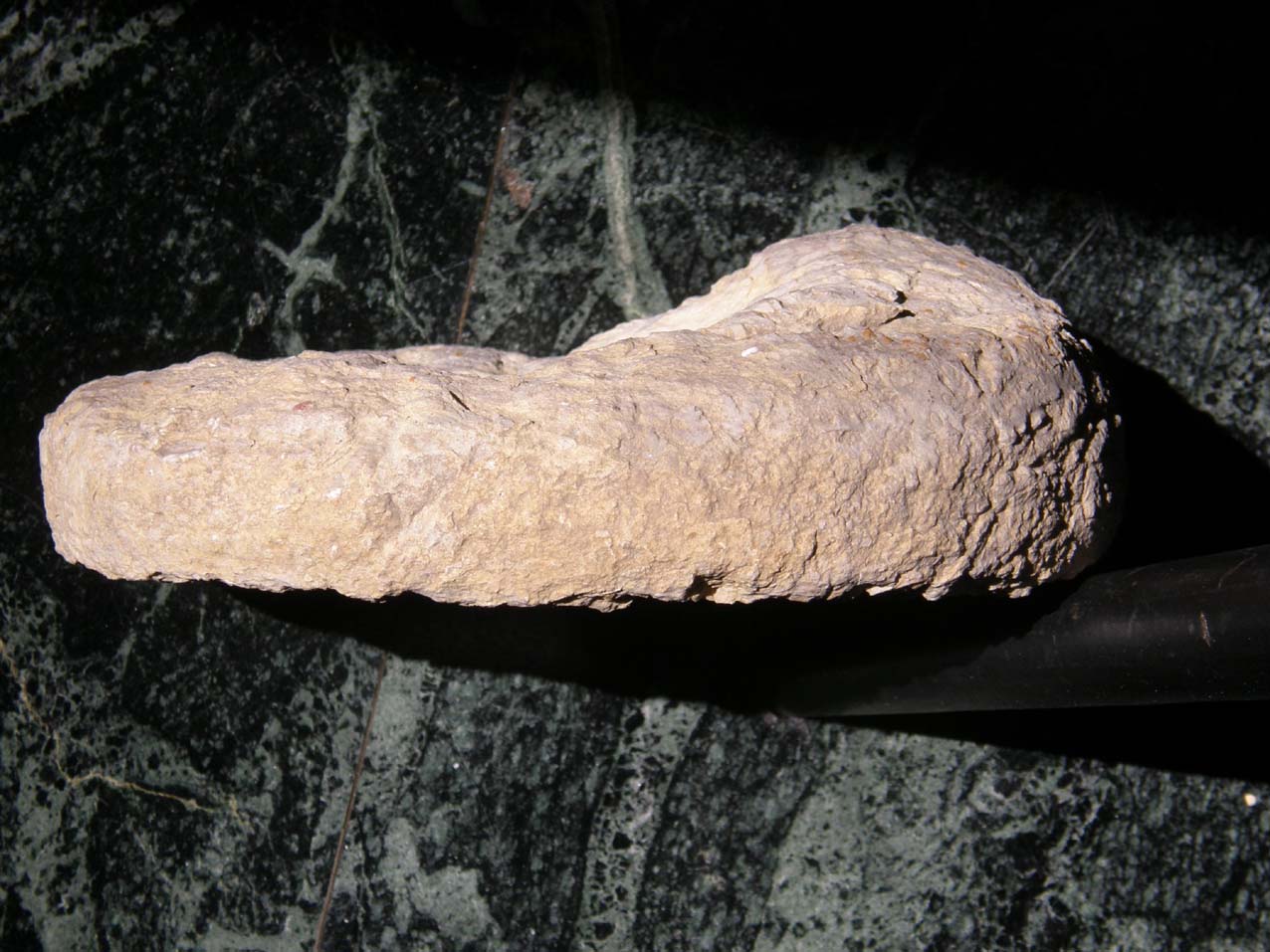 Fossili...abbandonati a Milano