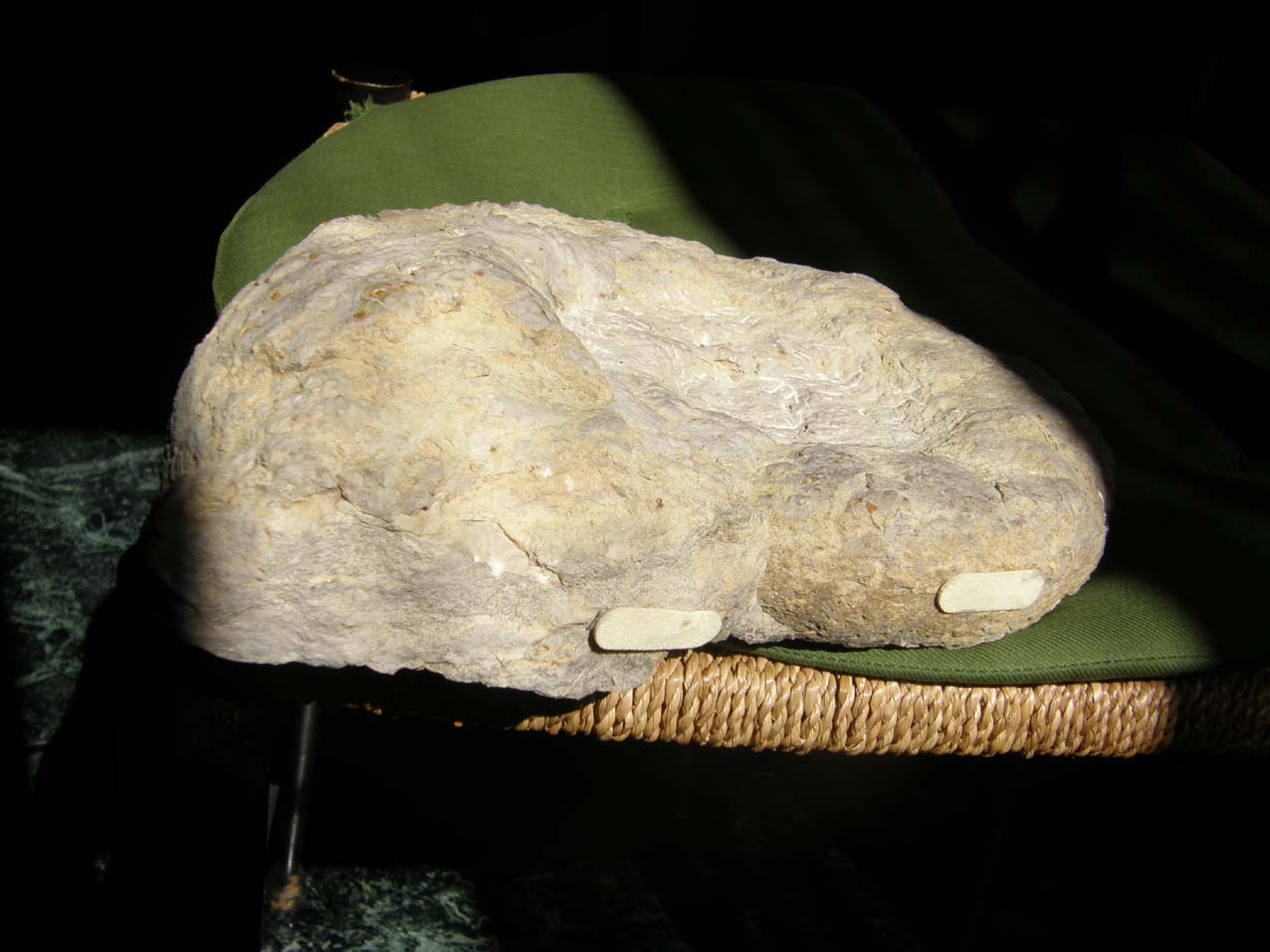 Fossili...abbandonati a Milano