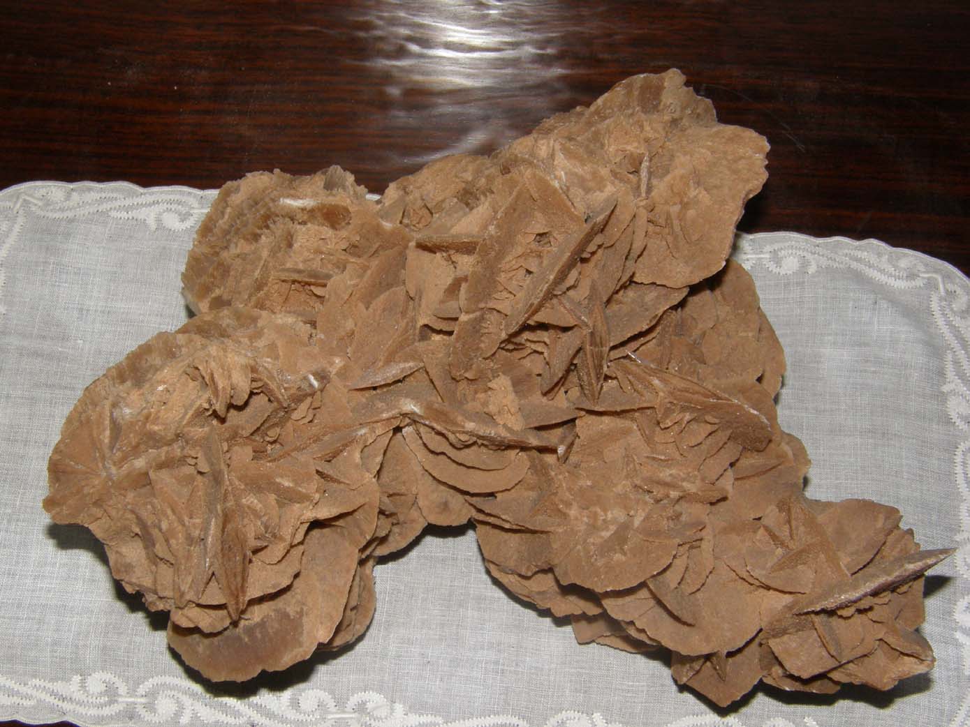 Rose del deserto 1