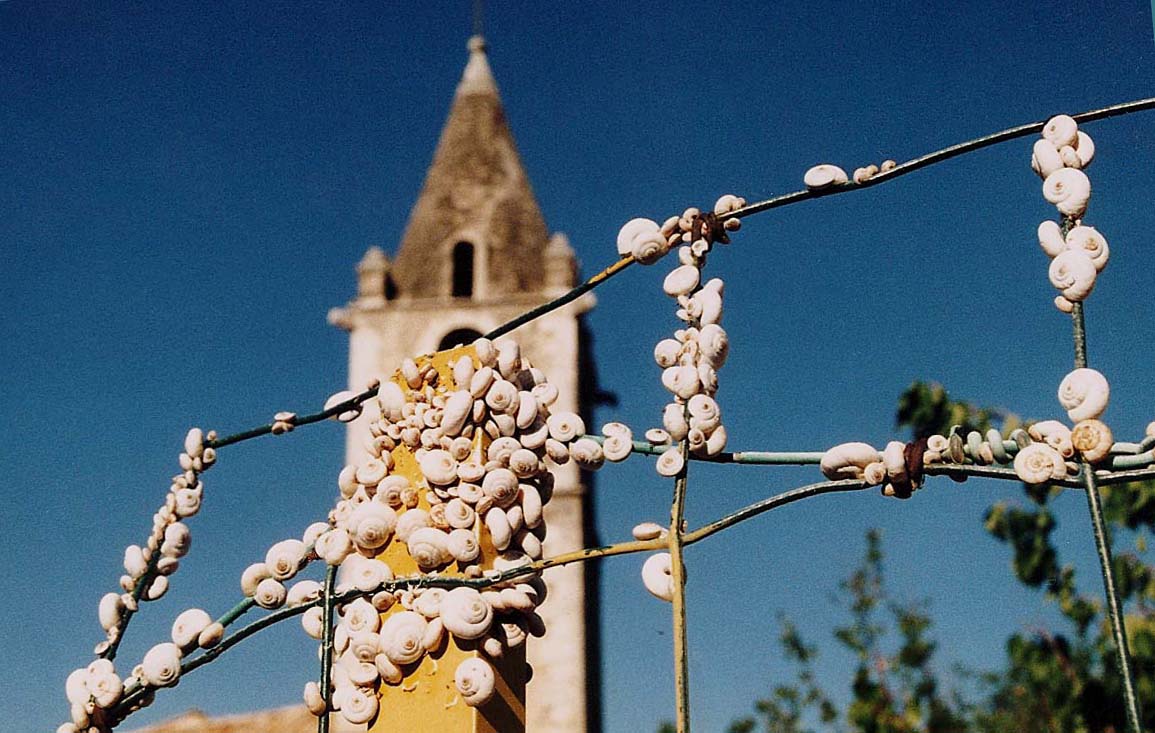Chioccioline molto invadenti