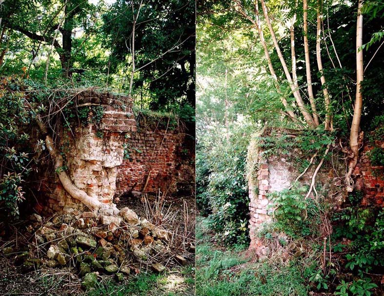 I muschi riconquistano le Mura Spagnole